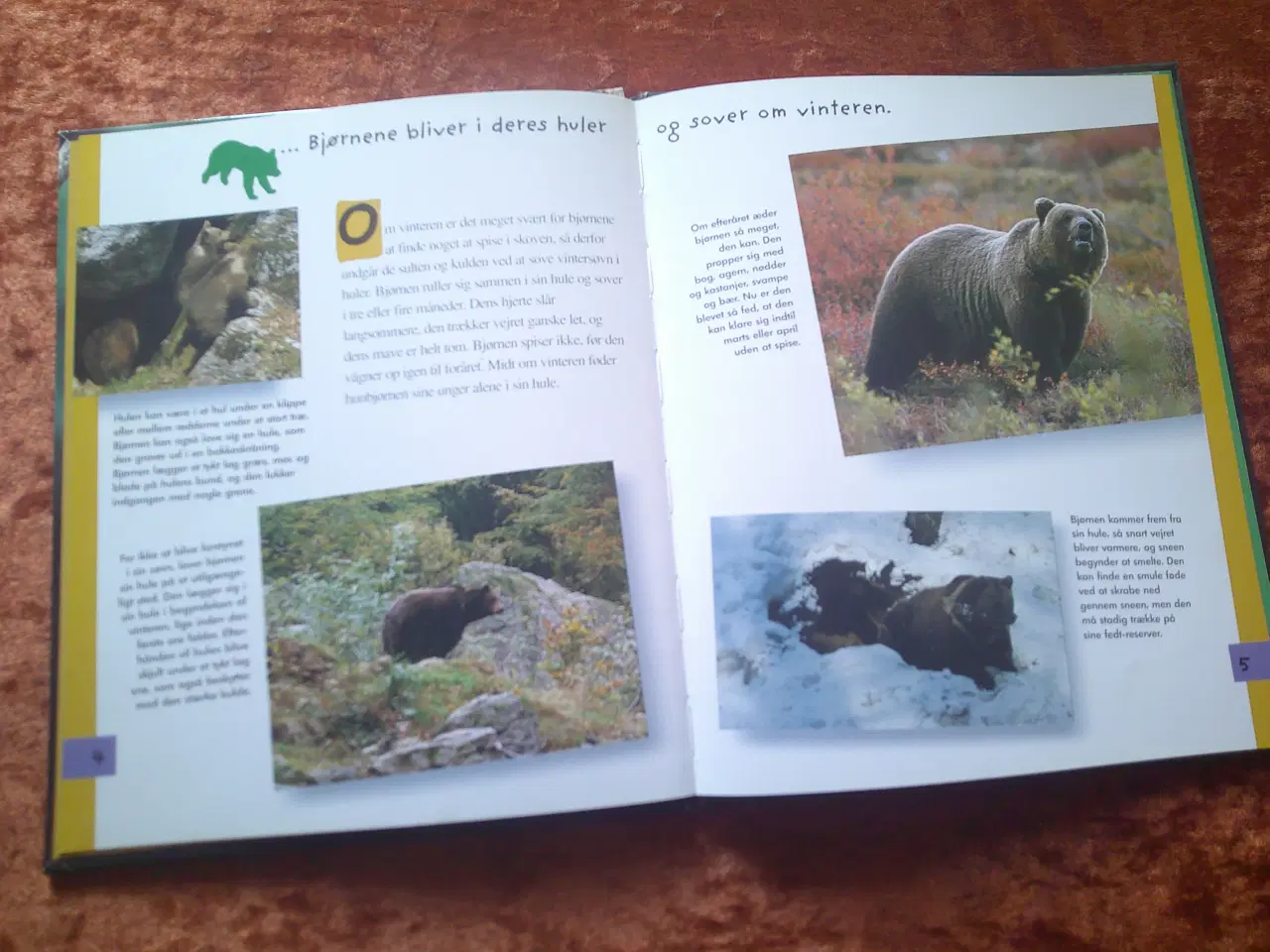 Billede 2 - Den lille bjørn, Valérie Guidoux