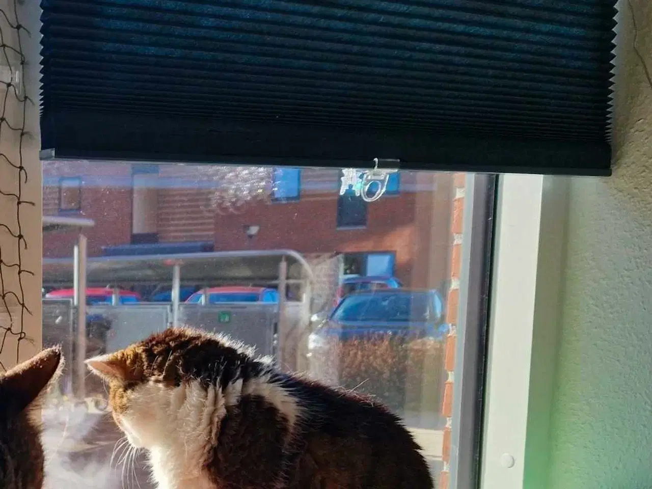 Billede 4 - 3 flot vinduesgardiner 