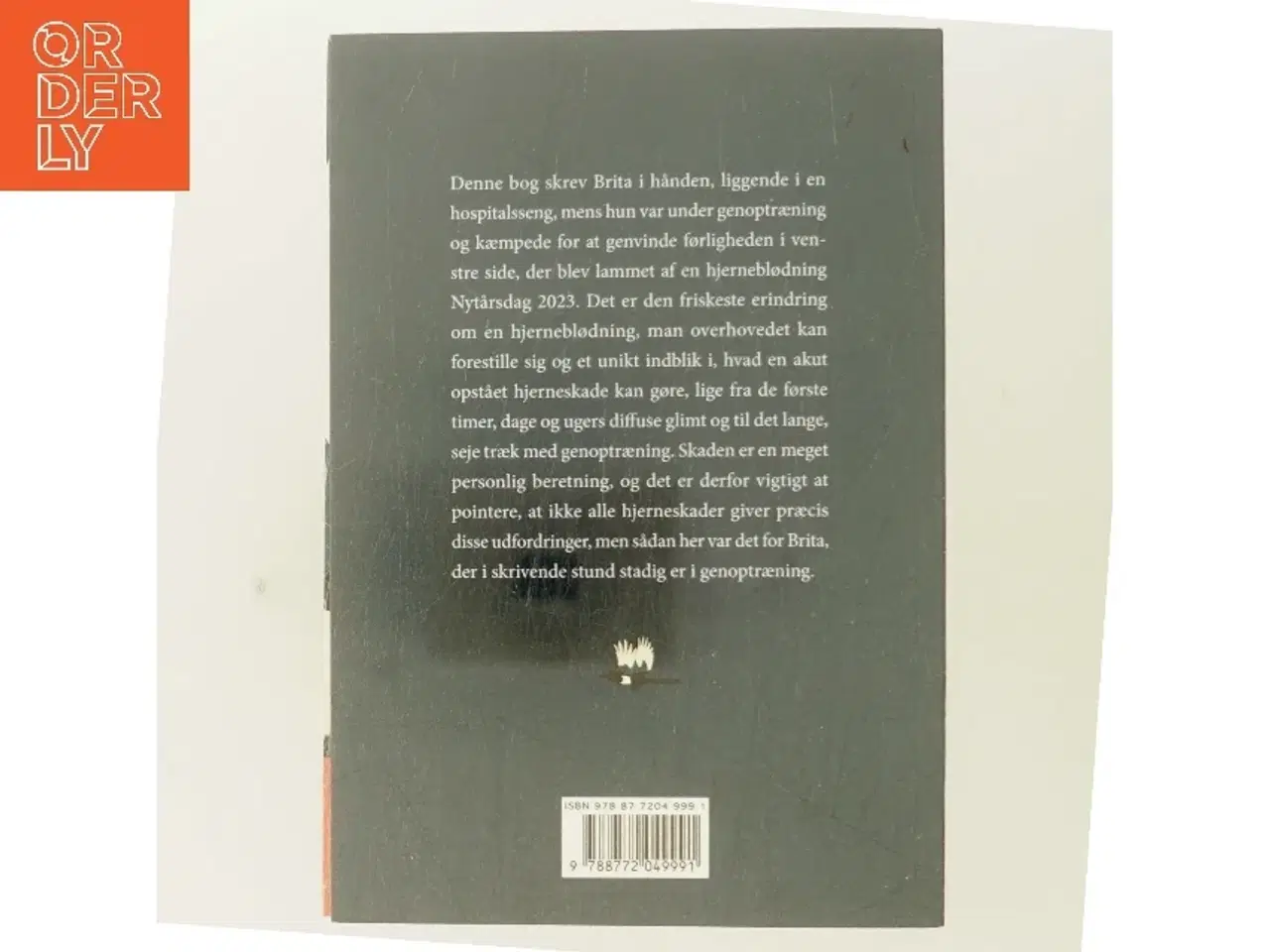 Billede 3 - Skaden : historien om en hjerneblødning af Brita Lønstrup (Bog)