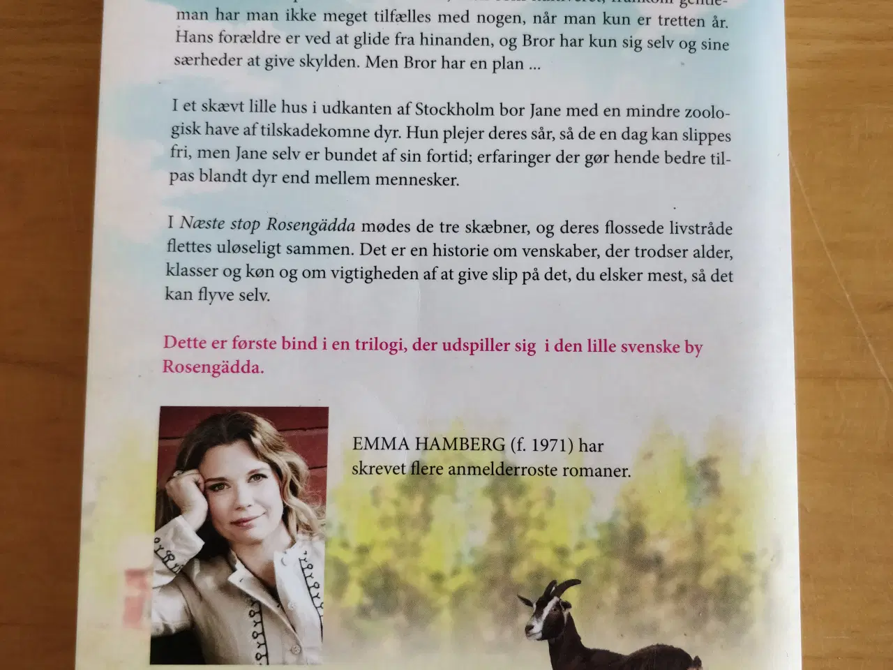 Billede 4 - Næste stop Rosengädda, Emma Hamberg