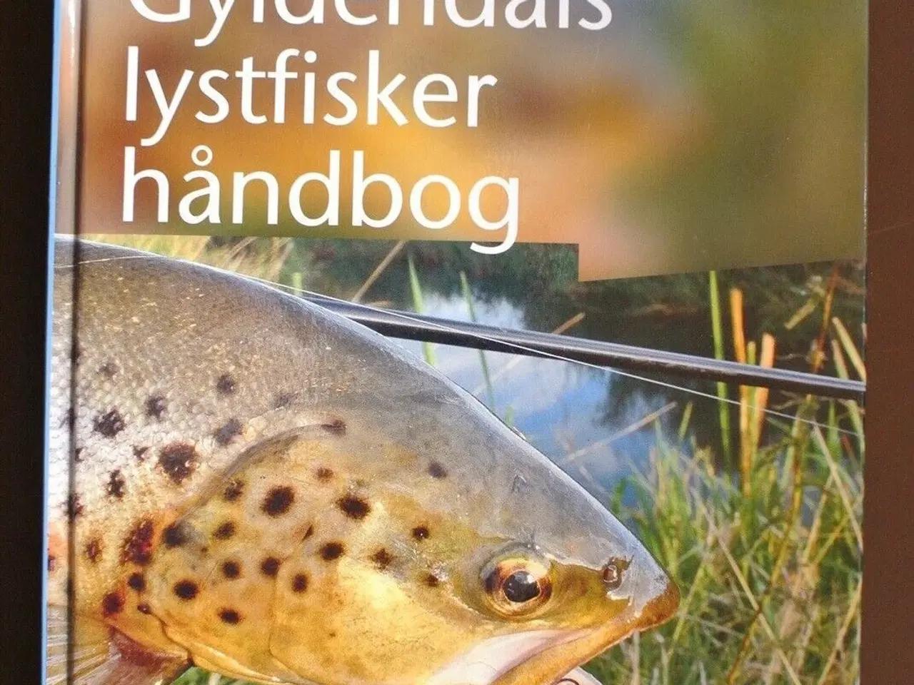 Billede 1 - gyldendals lystfiskerhåndbog, red. af mogens esper