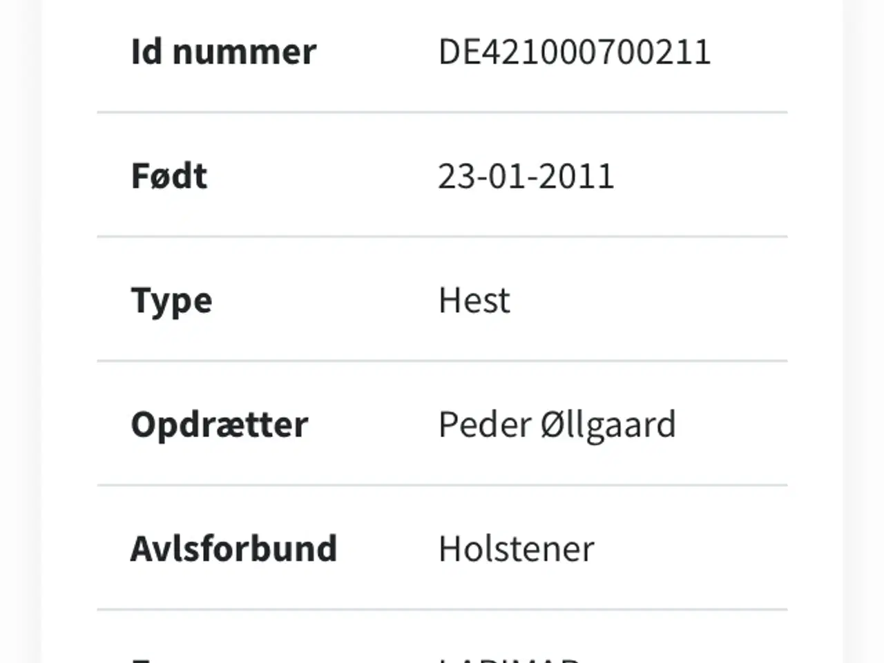 Billede 5 - Hest