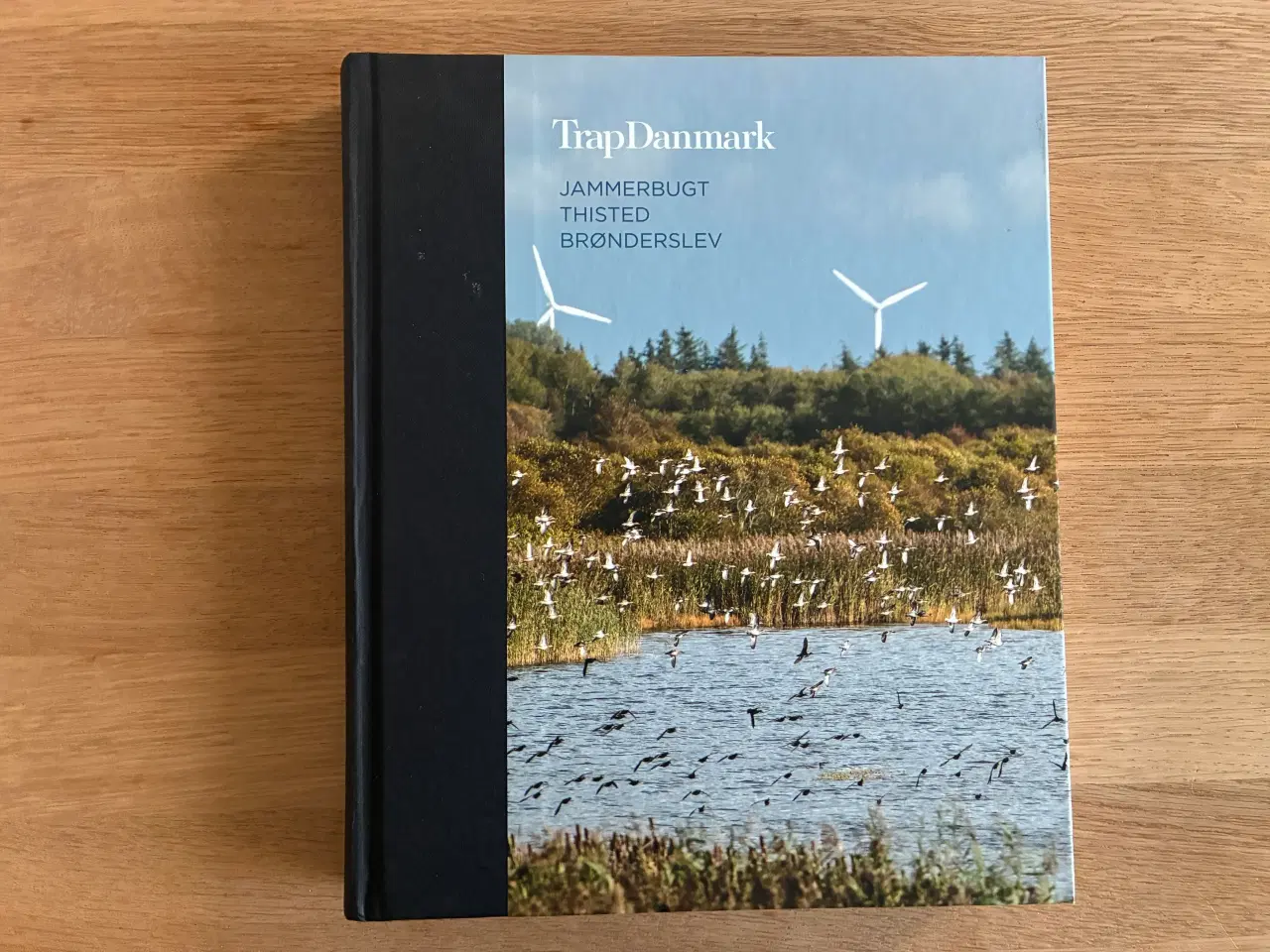 Billede 1 - Trap Danmark   -  Jammerbugt, Thisted, Brønderslev
