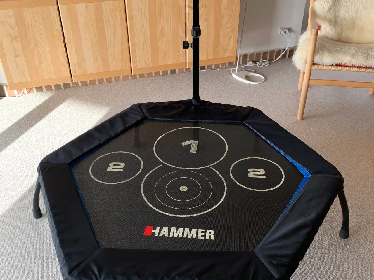 Billede 1 - Hammer Fitness Trampolin 