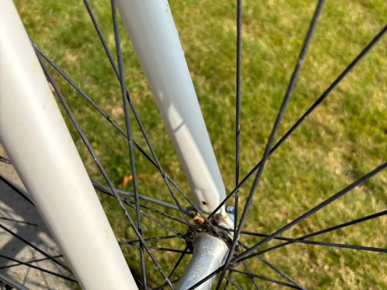 Billede 6 - Mustang Addison citybike