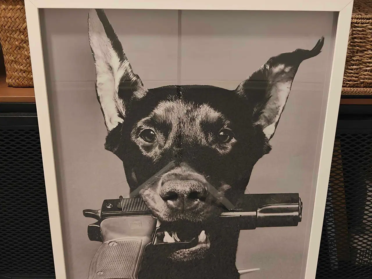 Billede 2 - Dior Dog plakat