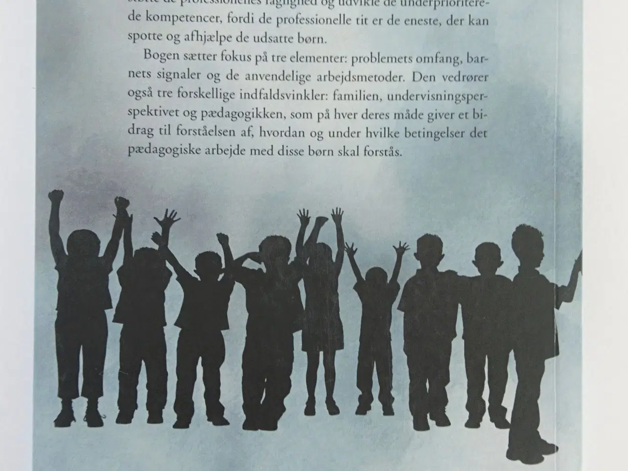 Billede 2 - Usynlige børn i risikozonen -en pædagogisk håndbog