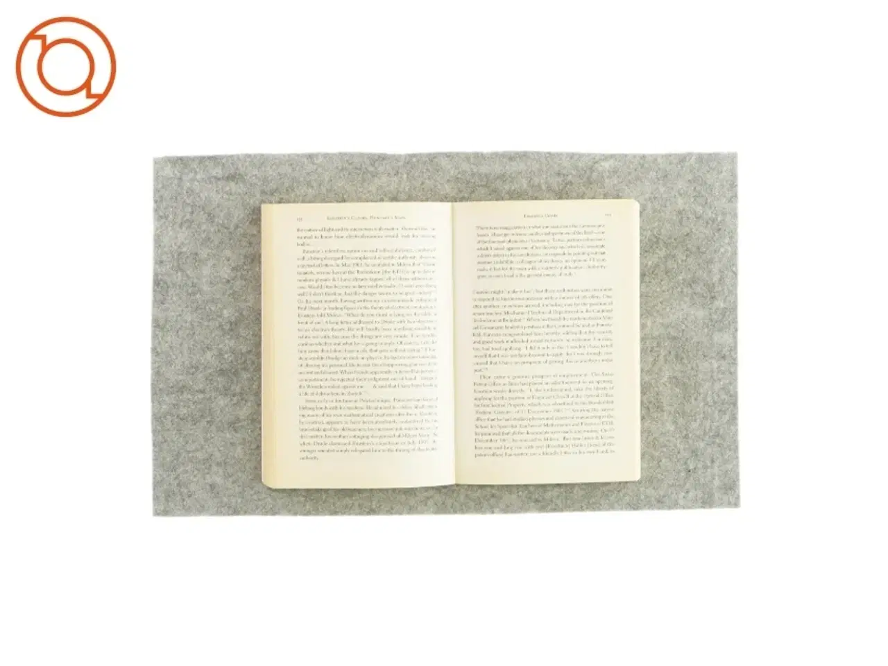 Billede 3 - Einstein's clocks Poincaré's maps af Peter Galison (Bog)