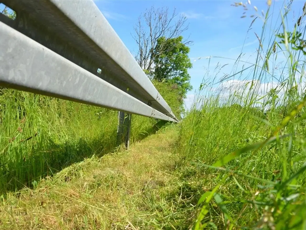 Billede 3 - GreenTec Kantklipper FOX redskabsramme med RI82 kantklipper