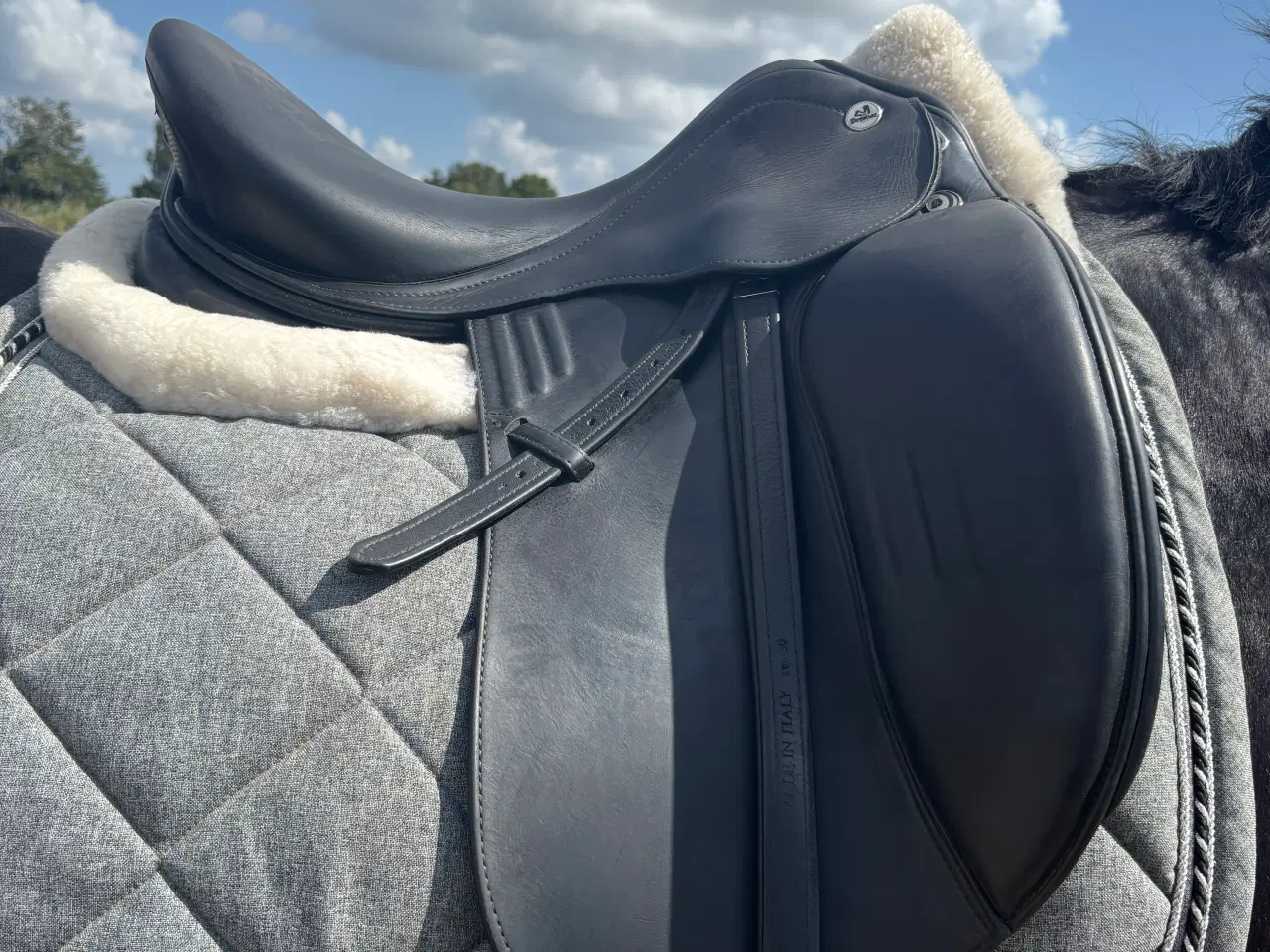Billede 2 - Prestige x-optimax