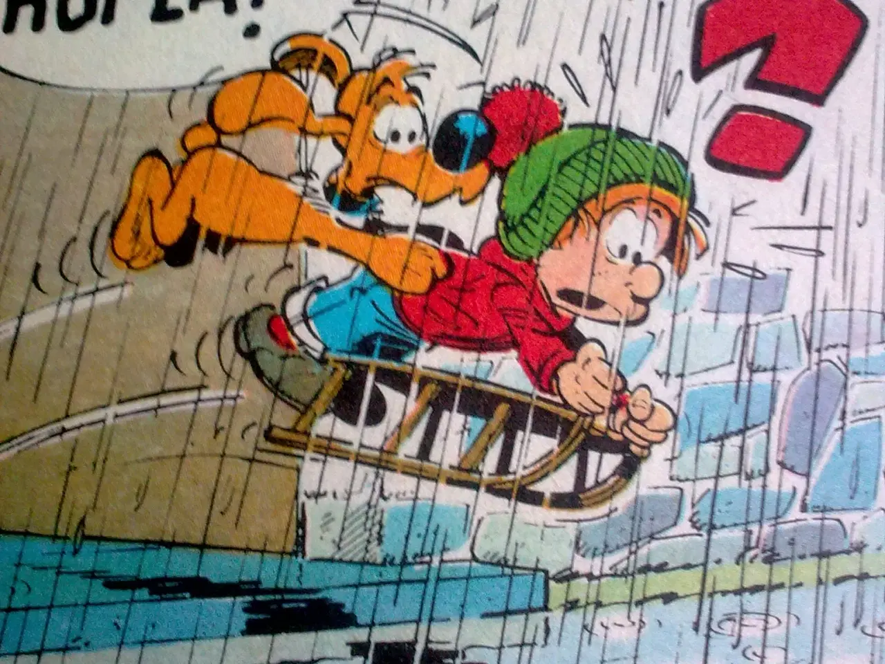 Billede 13 - Hundeskål i eller vagthund ved siden & hund TEMA