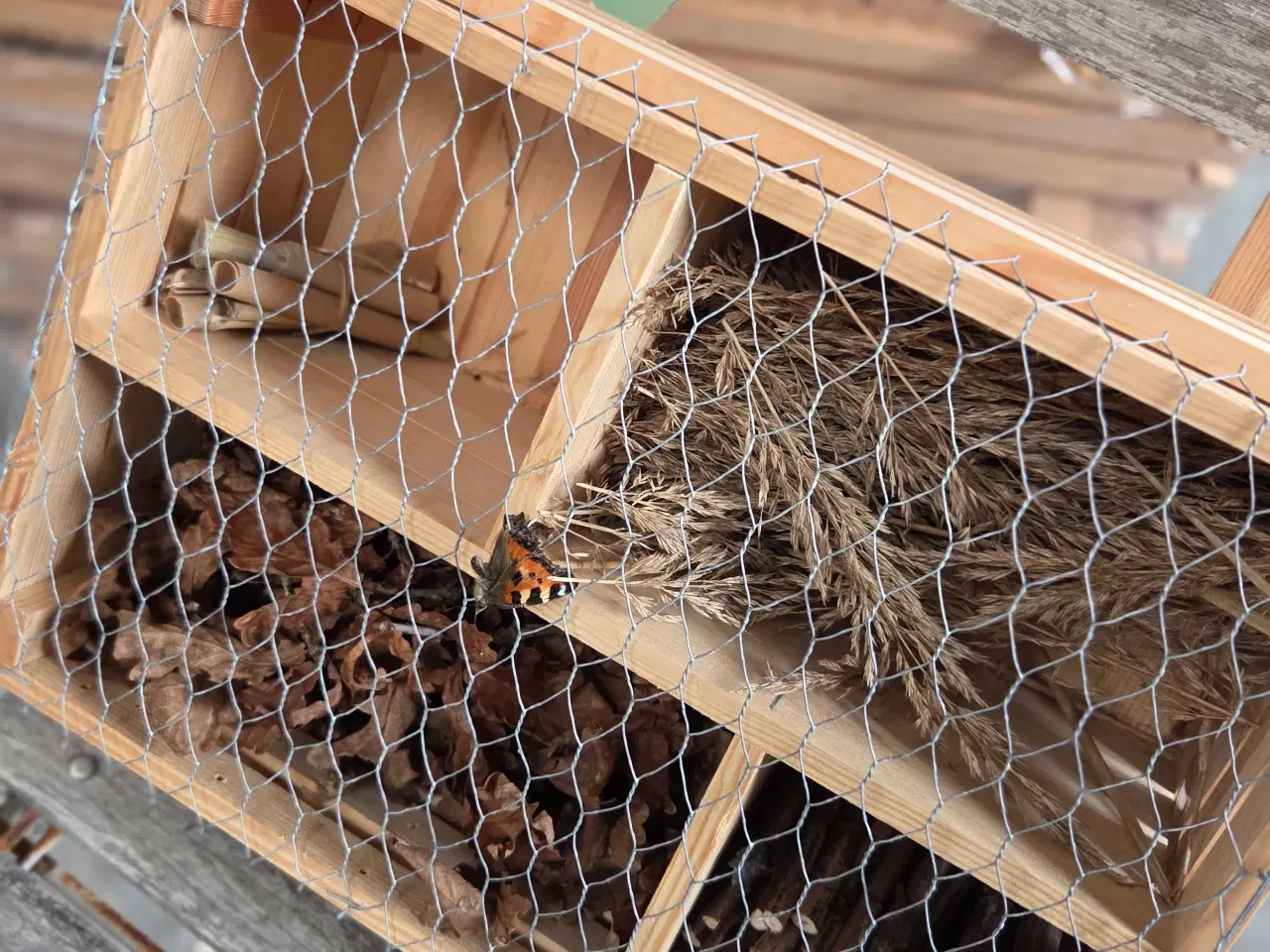 Billede 1 - Fyld jeres eget insekthotel