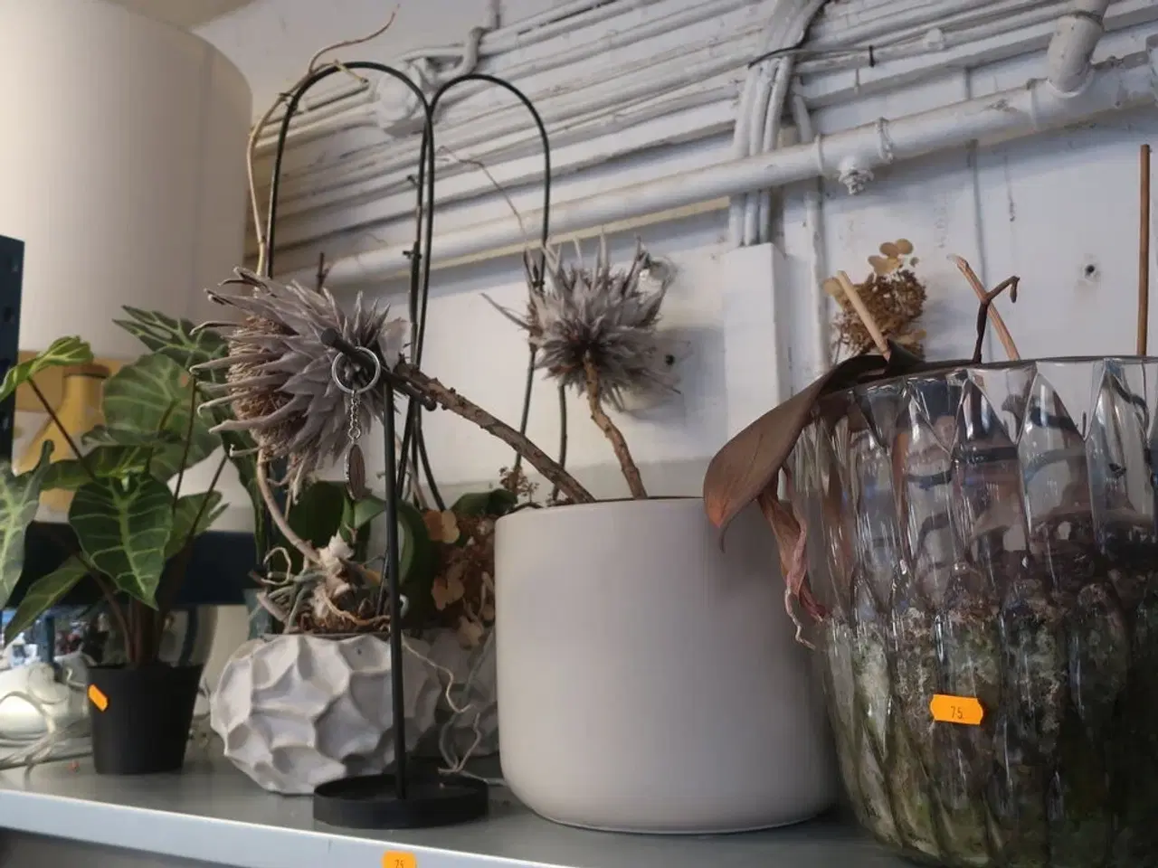 Billede 2 - Blandet Lot: Kunstige planter, Krukker & Potter