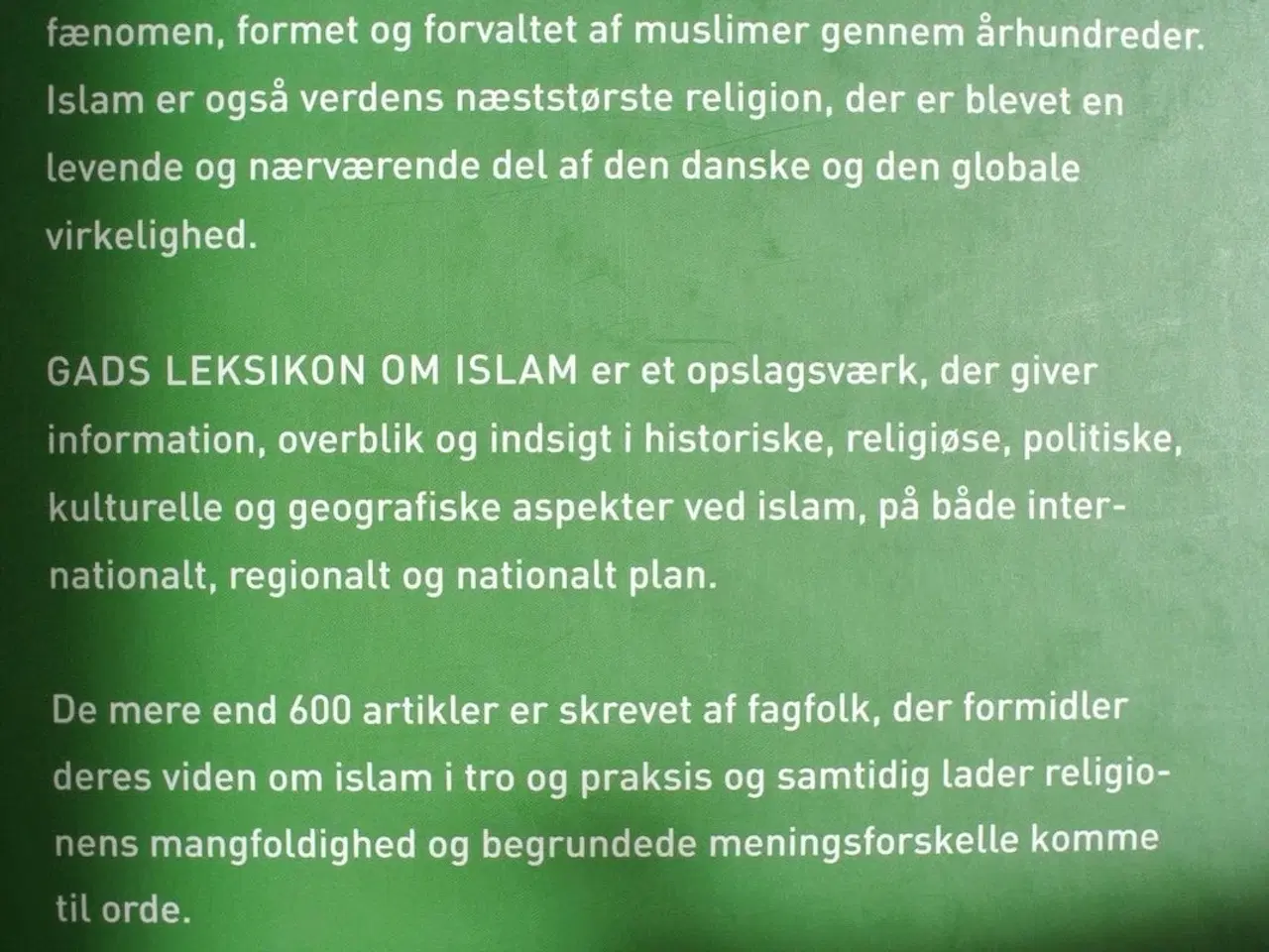 Billede 2 - gads leksikon om islam, red. af jean butler og tho