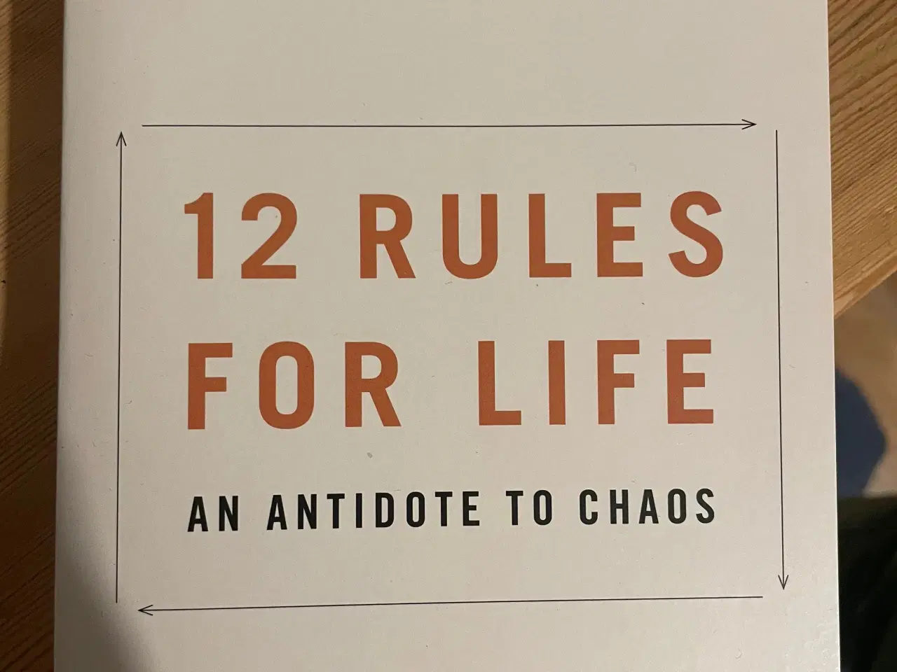 Billede 1 - 12 rules for life 