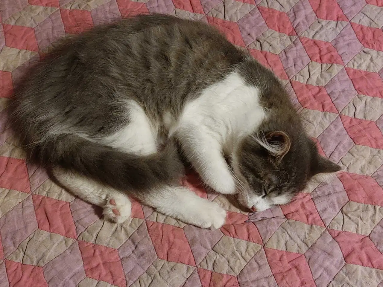 Billede 5 - Hej jeg hedder lusifer 