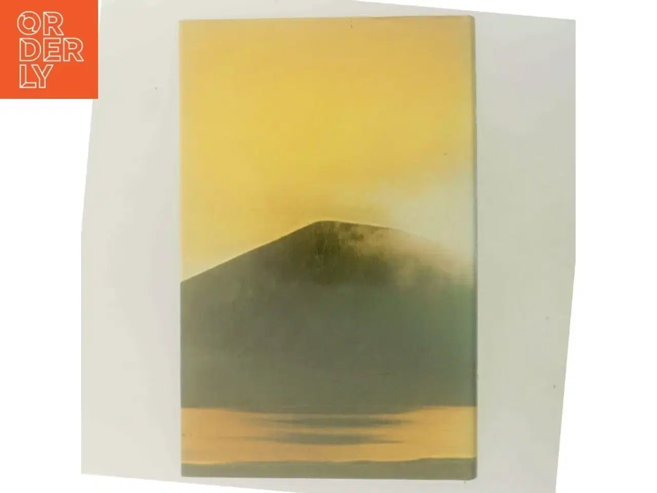 Billede 3 - Lad Himlen Vente af Harold Robbins (Bog)