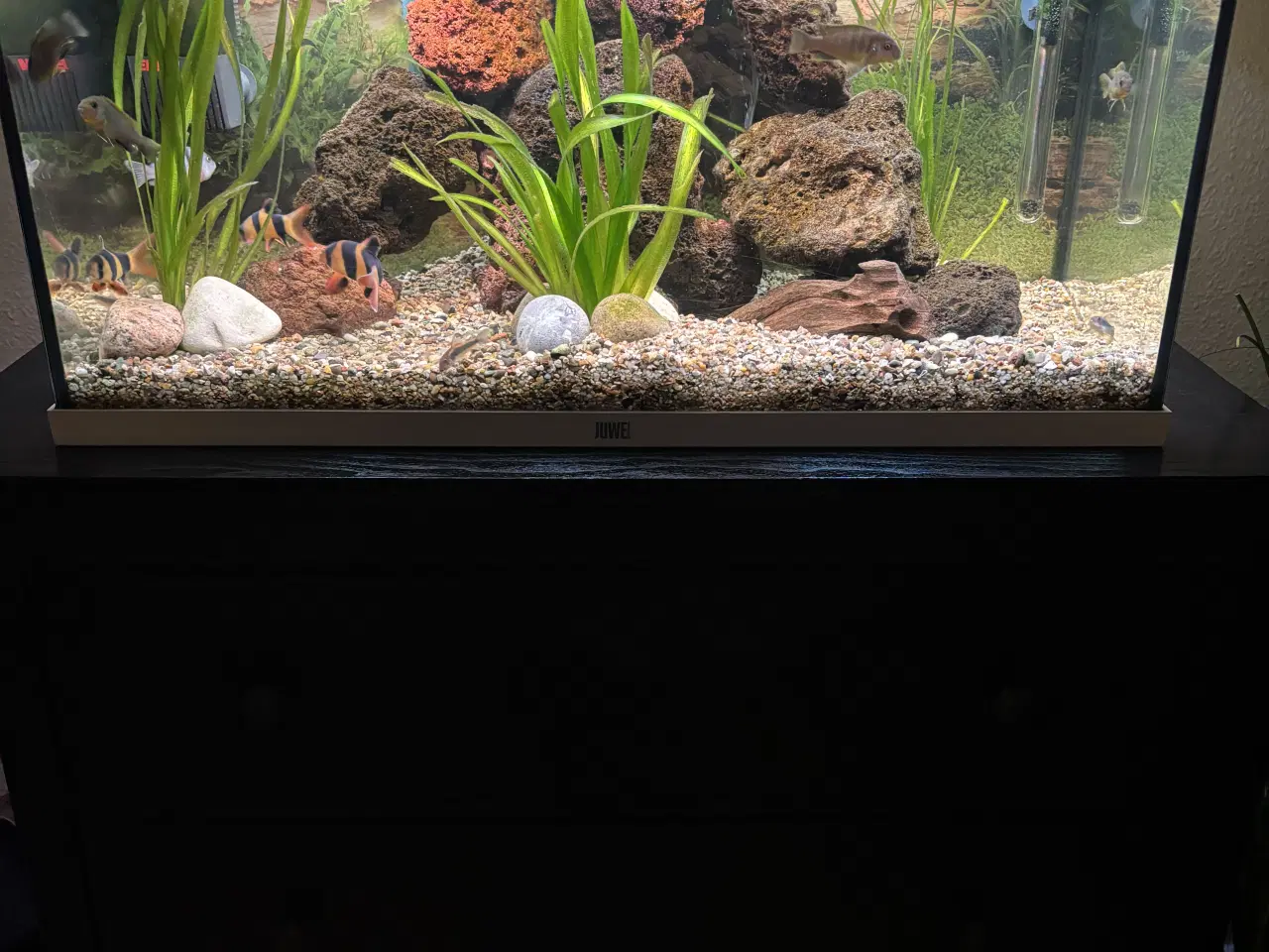 Billede 3 - Akvarie 120l