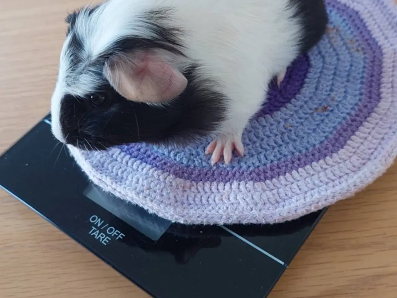 Billede 6 - 3 søde unger