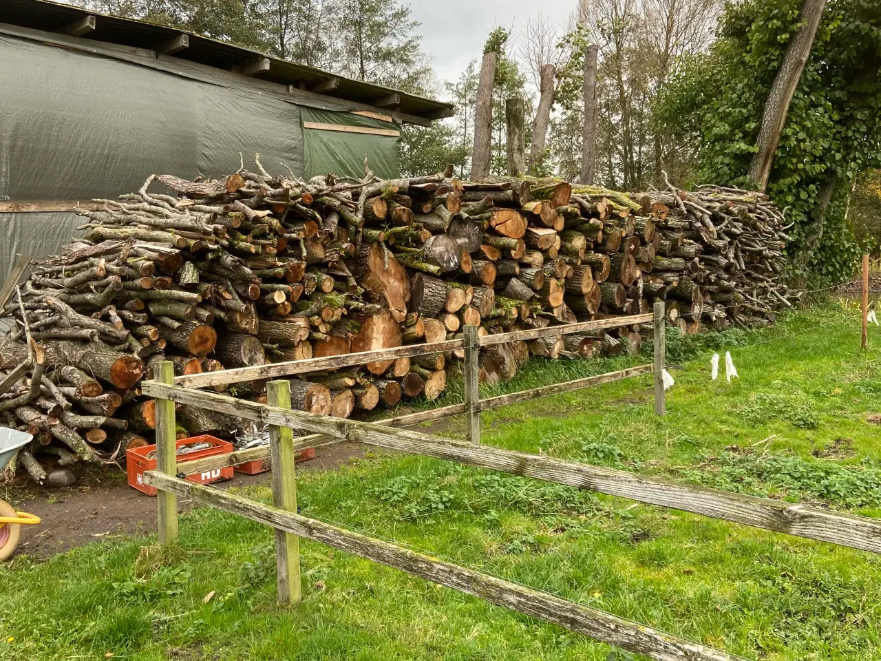 Billede 1 - Blandet løvtræ i 2 mtr stykker 