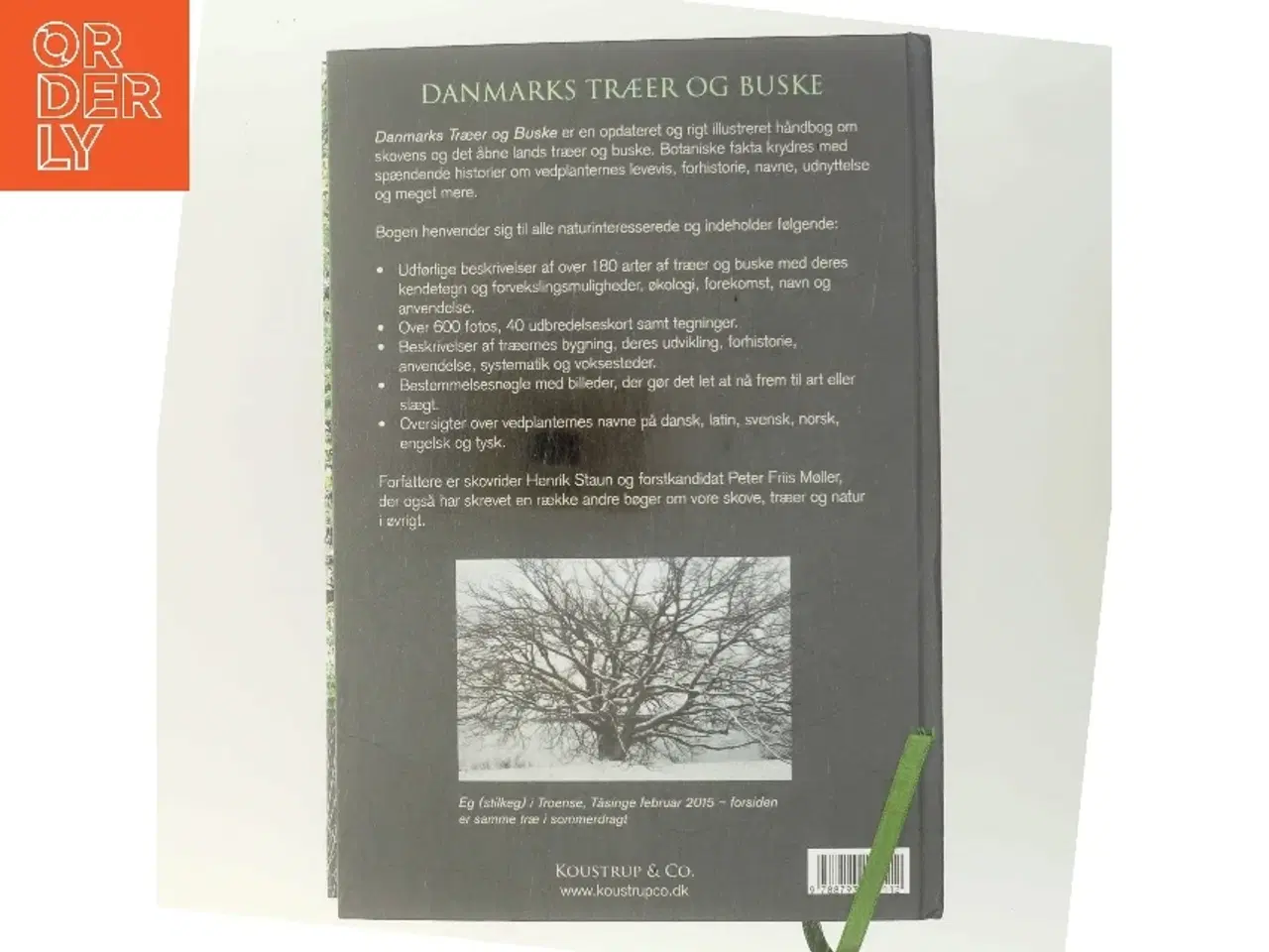 Billede 3 - Danmarks træer og buske af Henrik Staun (Bog)
