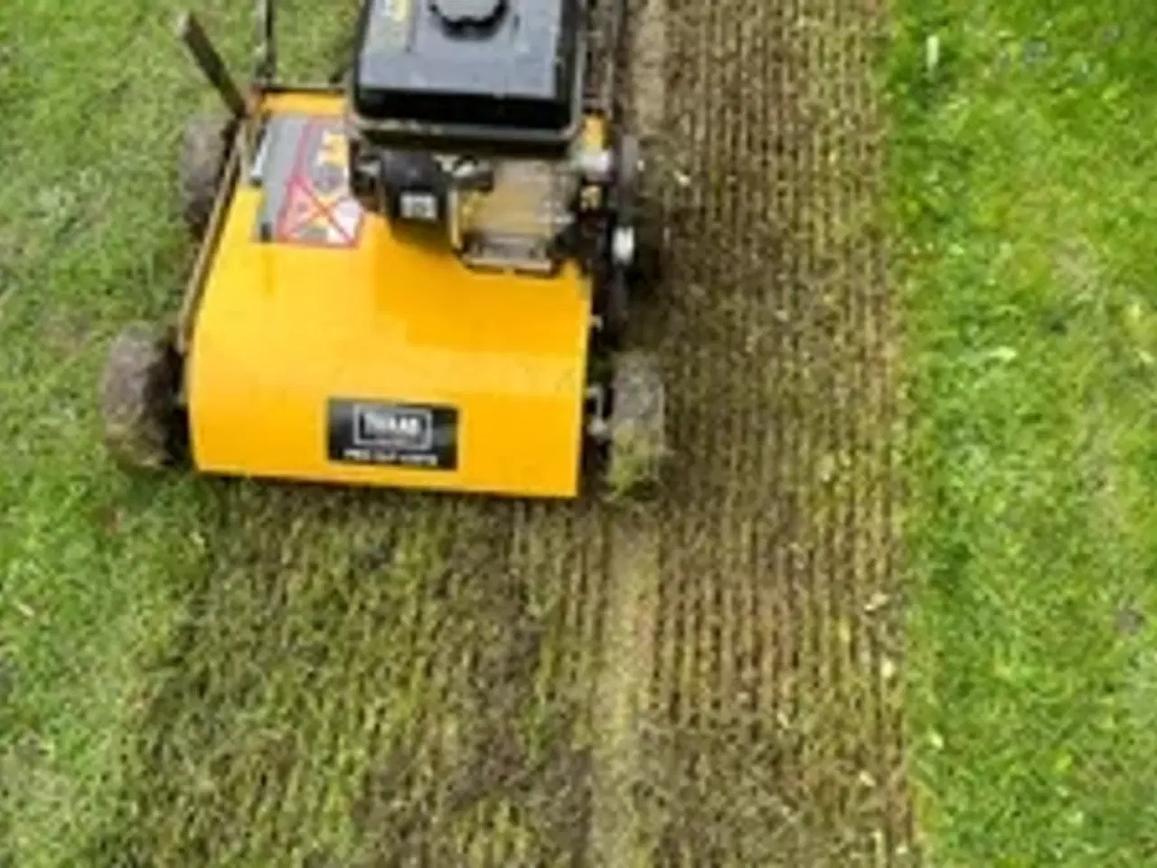 Billede 2 - Texas Pro Cut 460TG vertikalskærer / mosfjerner 