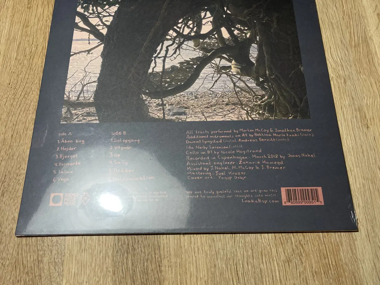 Billede 2 - Bremer/McCoy - Utopia