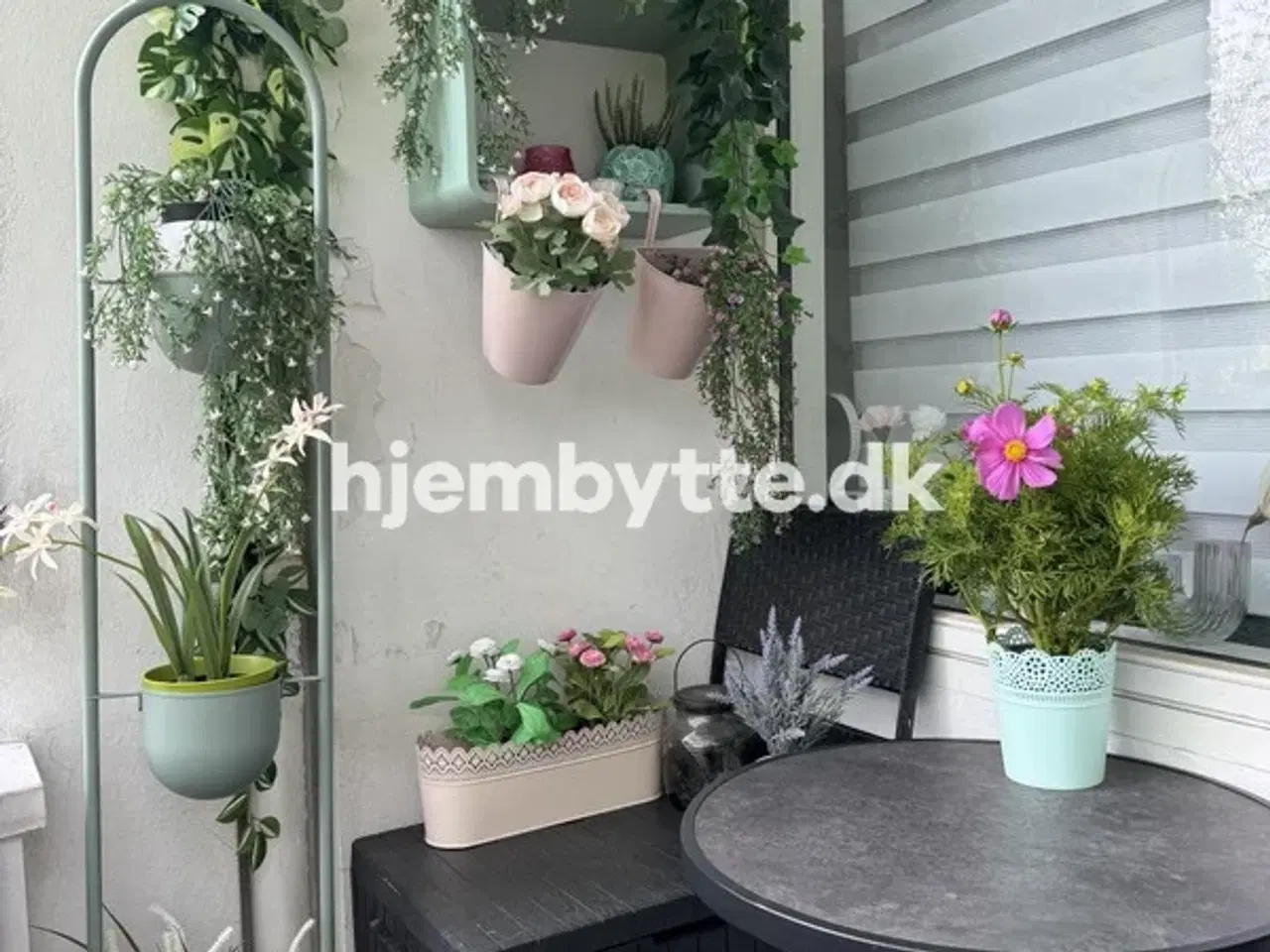 Billede 6 - Hjembytte - BernersVænge