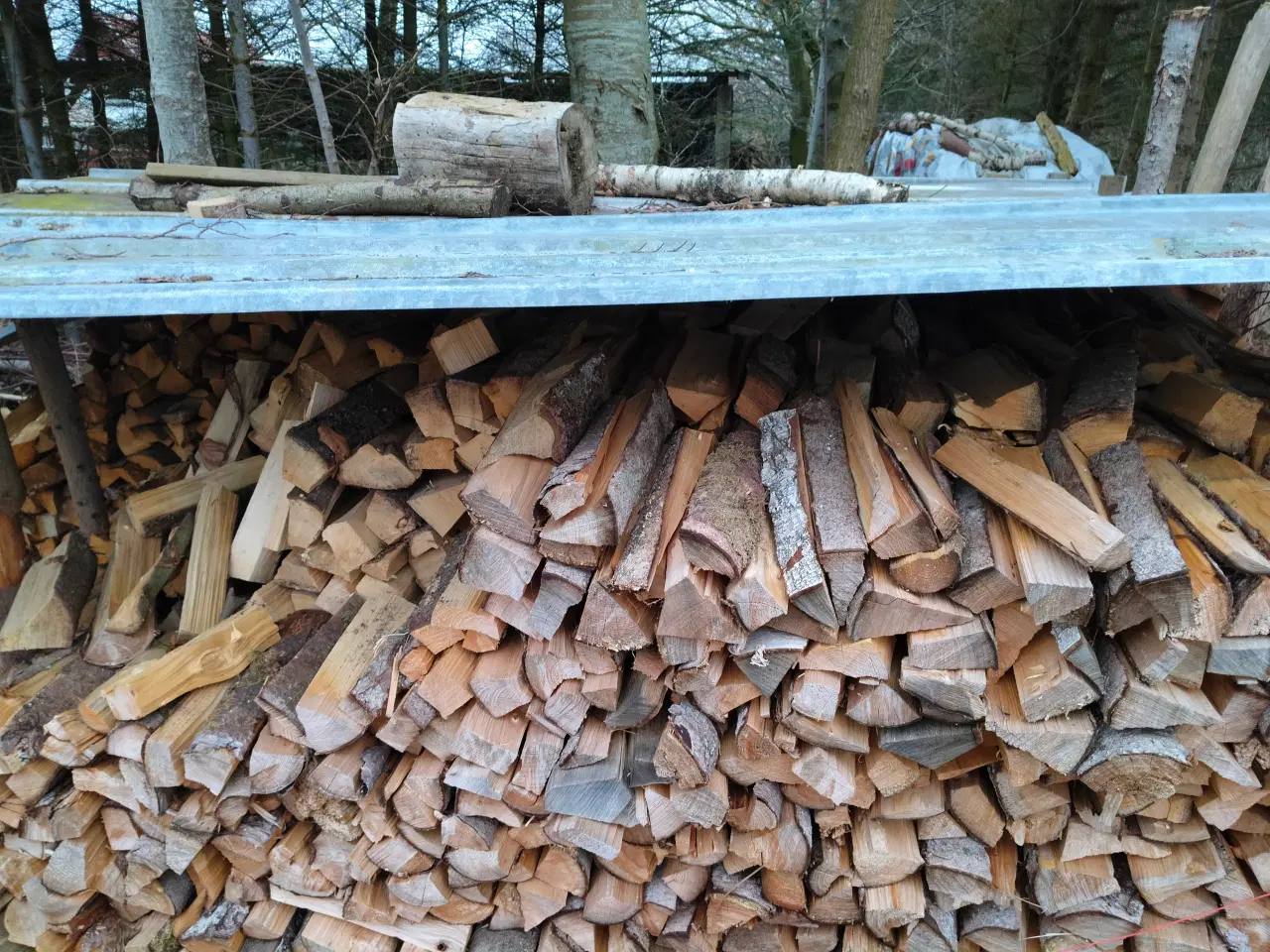 Billede 1 - brænden blandet nåletræ 