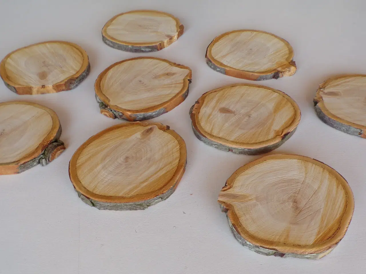 Billede 1 - Nye thuja træskiver 12 - 14 cm