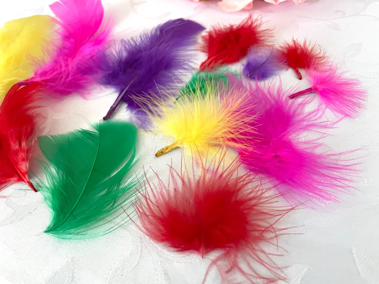 Billede 5 - Blandet fjer 