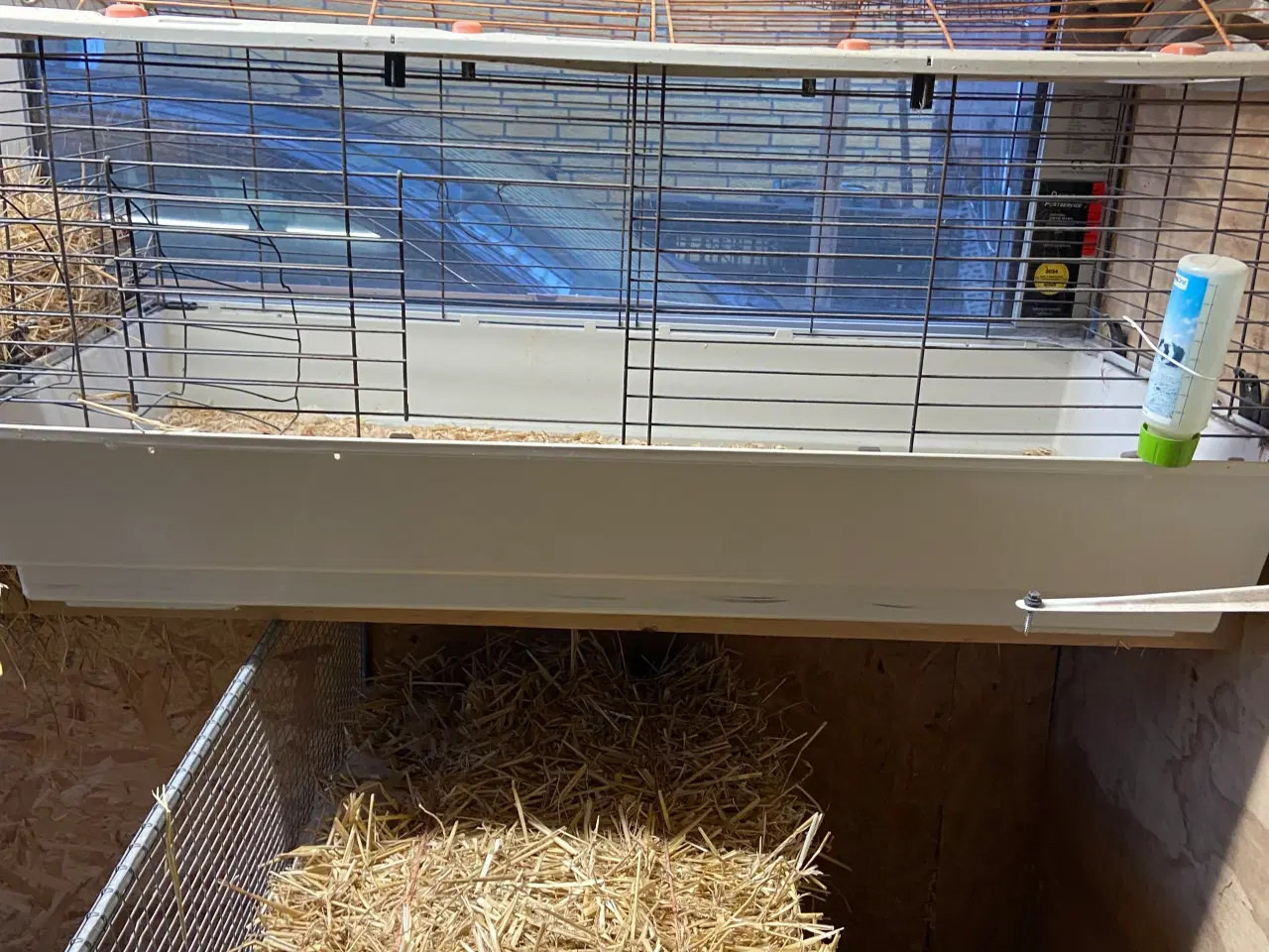 Billede 3 - Kanin / marsvin bur