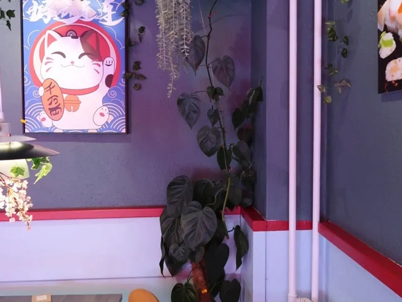 Billede 1 - 2 stk. planter i krukker