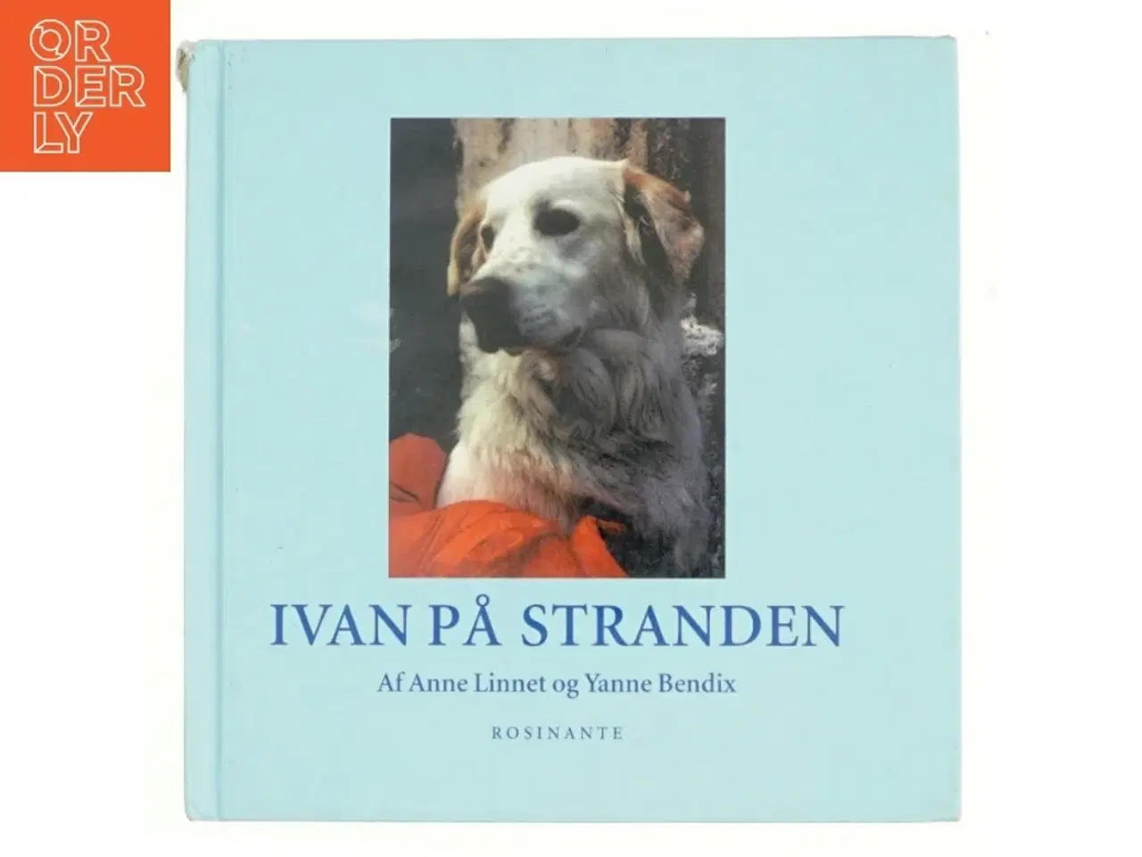Billede 1 - Ivan på stranden af Anne Linnet, Yanne Bendix (Bog)