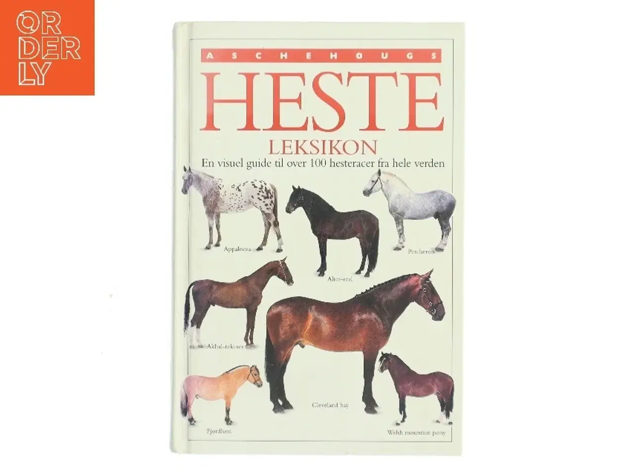 Billede 1 - hesteleksikon (Bog)