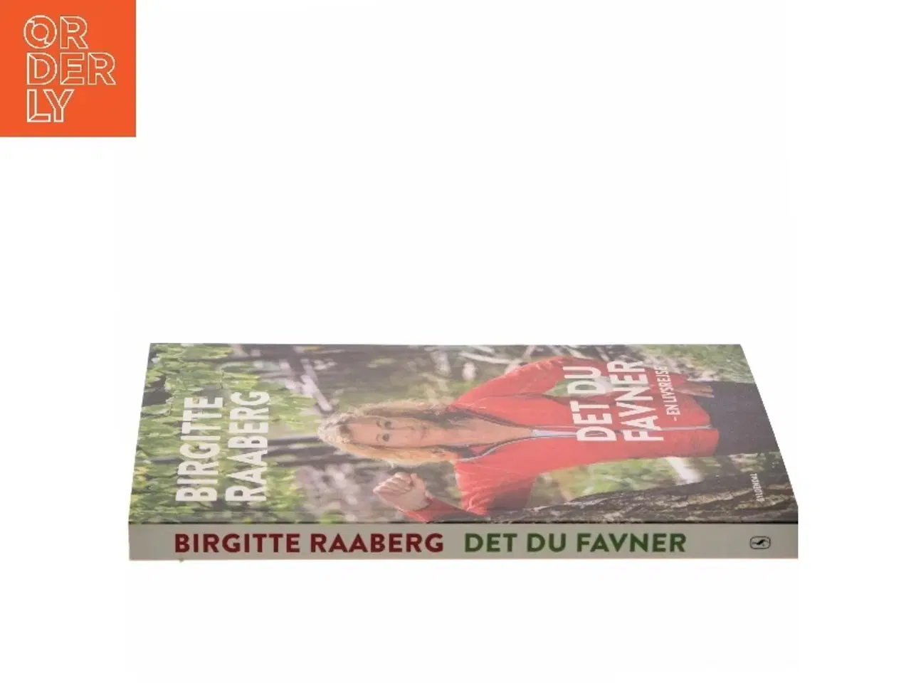 Billede 2 - Det du favner : en livsrejse af Birgitte Raaberg (Bog)