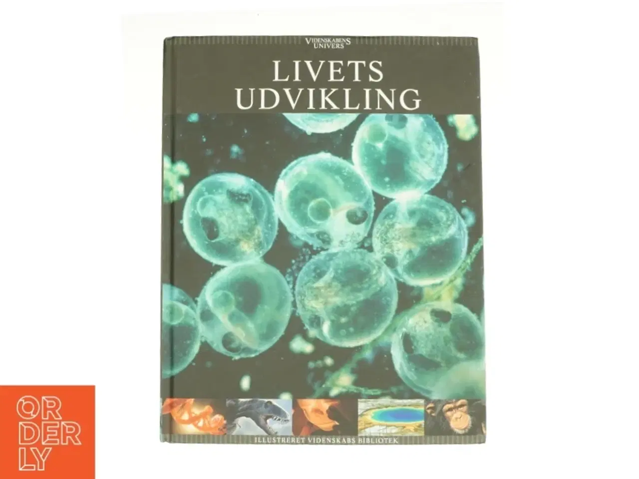 Billede 1 - Livets udvikling (Bog)