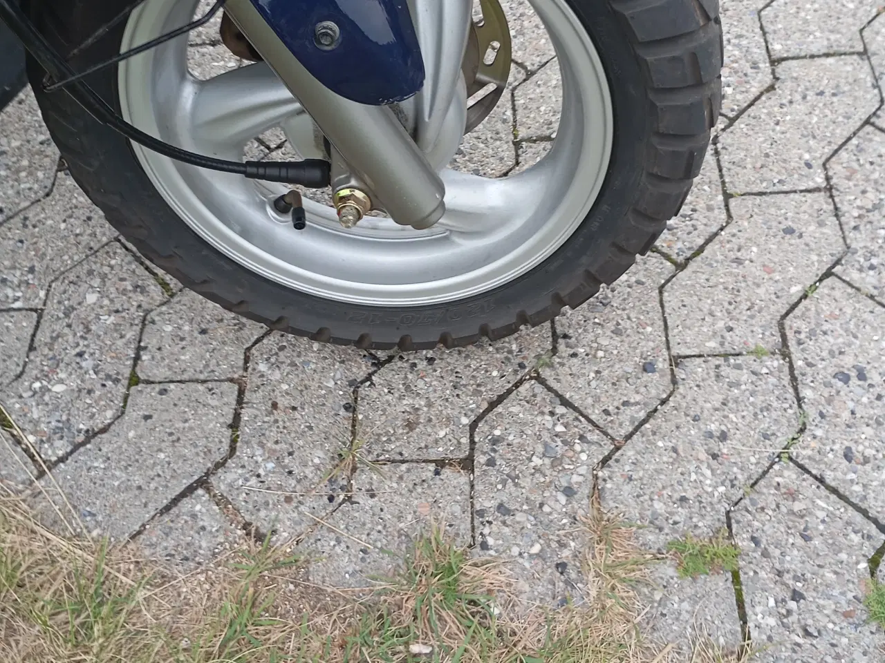 Billede 6 - Pgo T-Rex 