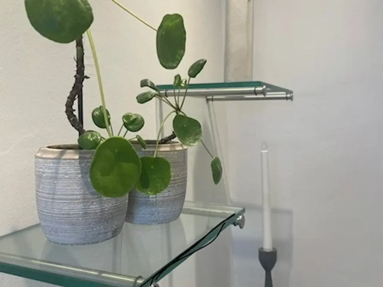 Billede 1 - Glashylder til væg