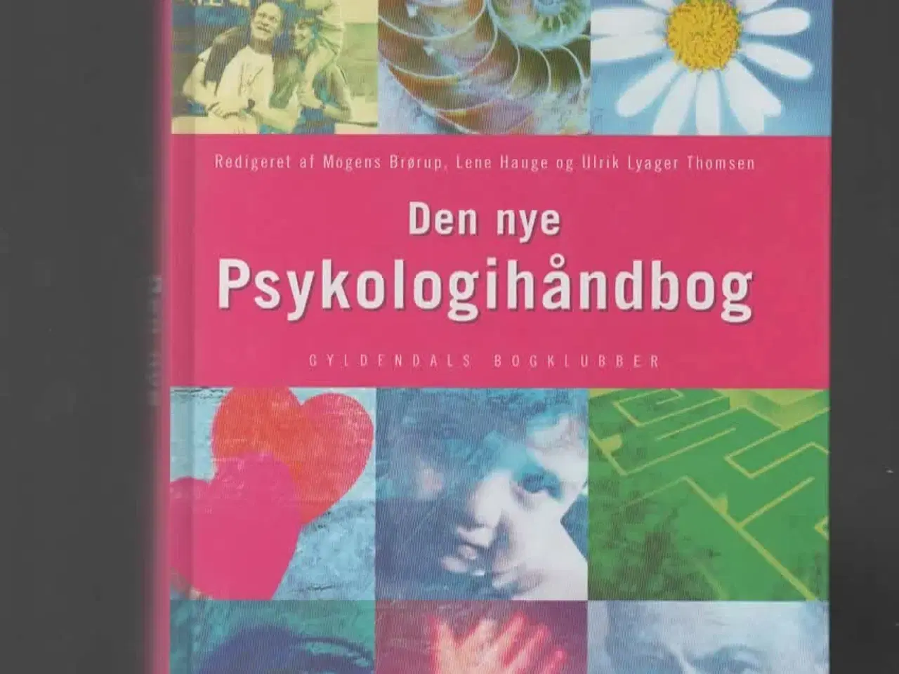 Billede 1 - psykologi