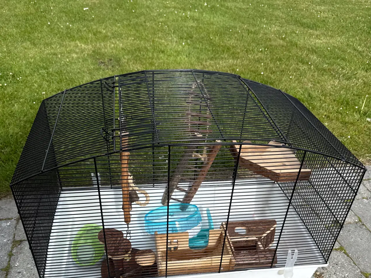 Billede 1 - Hamster bur