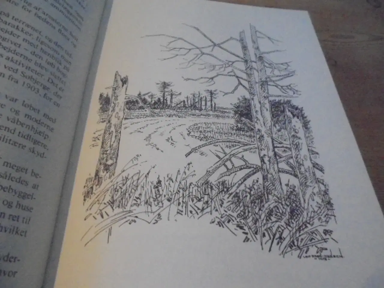 Billede 5 - Borris hede – se fotos og omtale