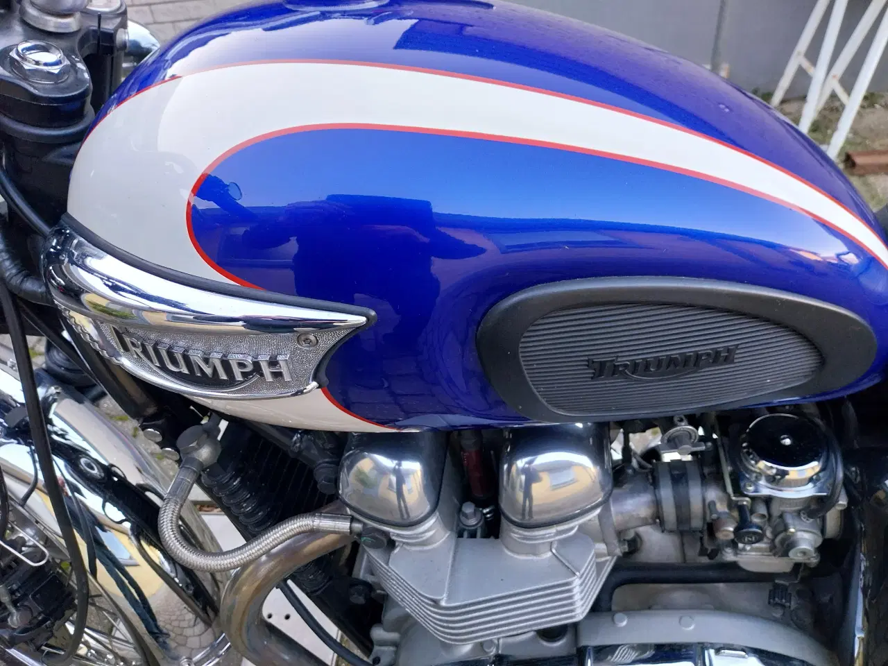 Billede 4 - triumph bonneville t100