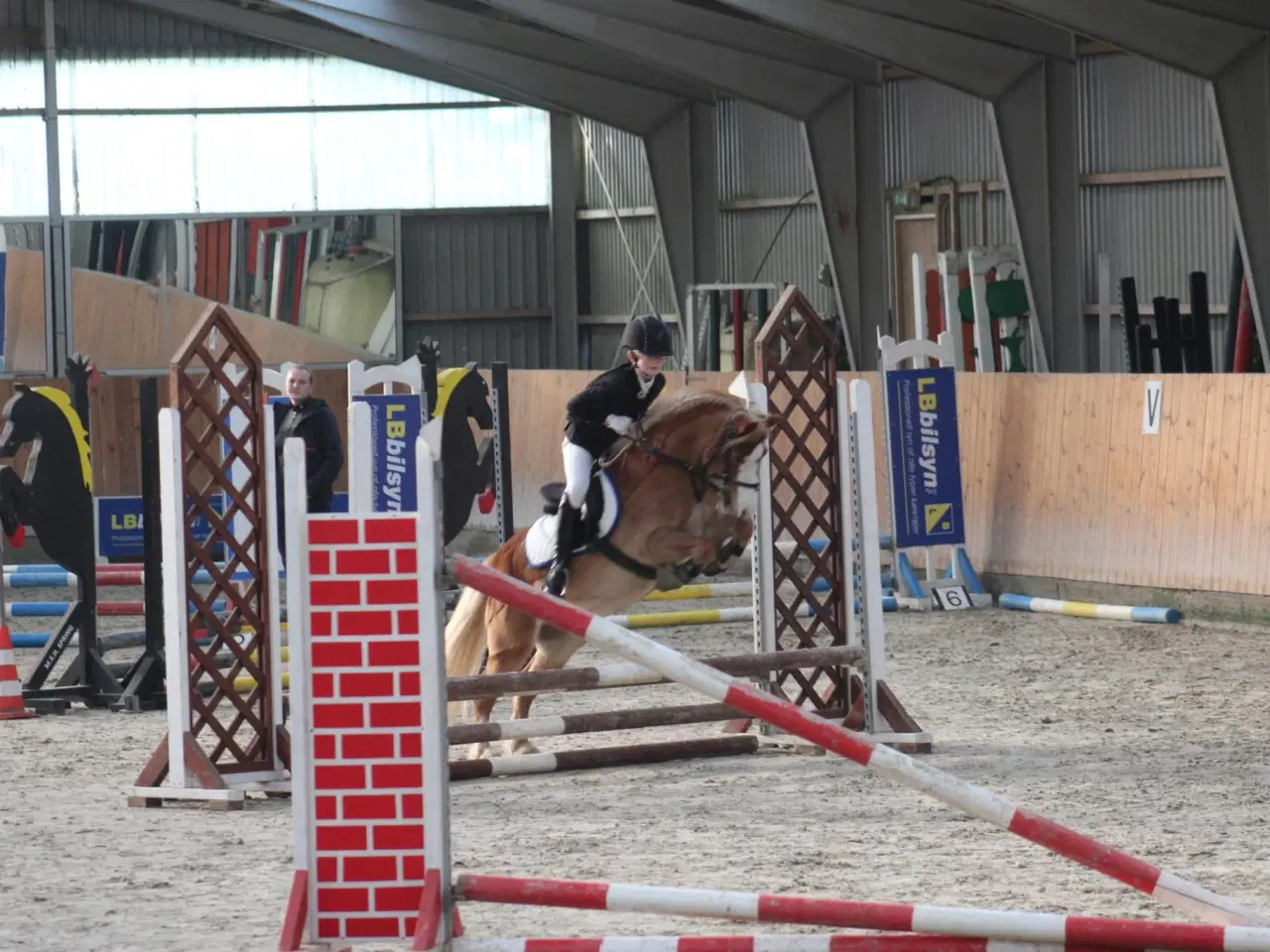 Billede 2 - Skøn kat. 3 pony søger nyt hjem