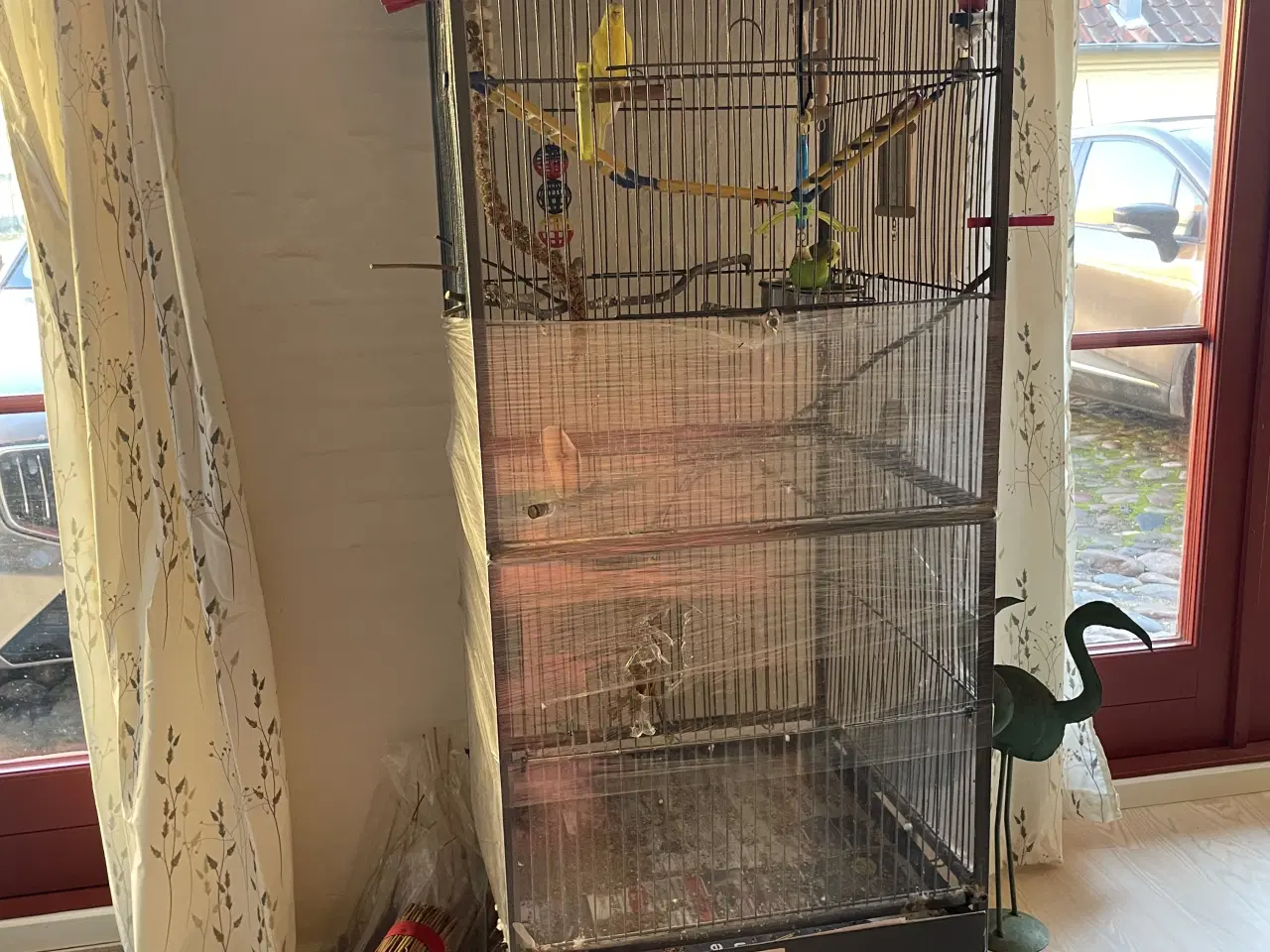 Billede 4 - To undulater med bur