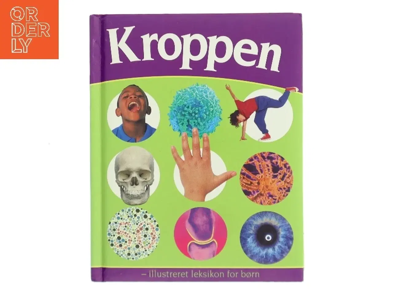 Billede 1 - Kroppen : illustreret leksikon for børn (Bog)