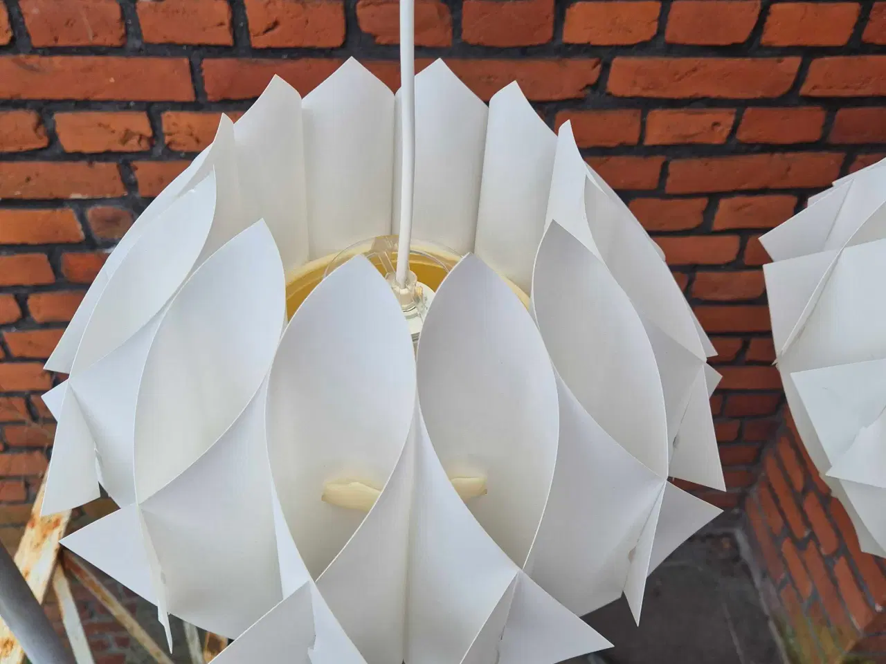 Billede 10 - Velholdte og smukke hvide Butterfly 