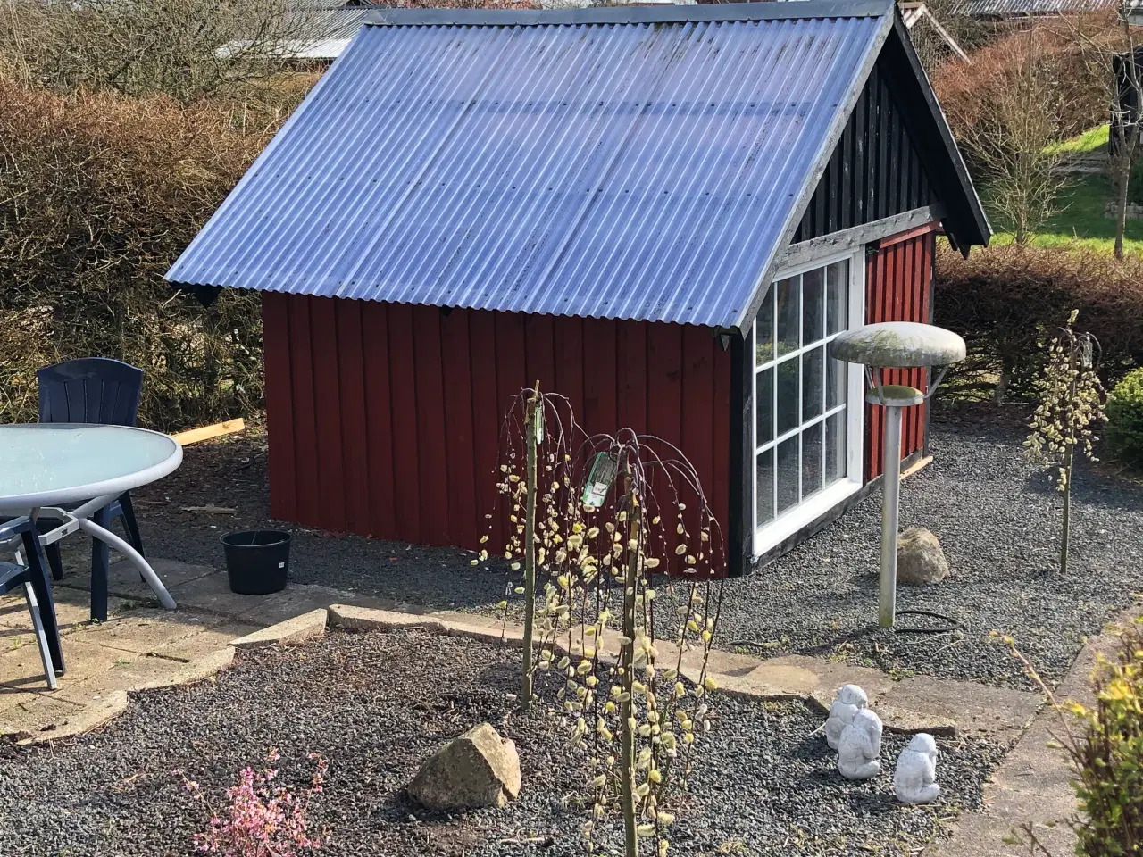 Billede 9 - Kolonihave uden bopælspligt 