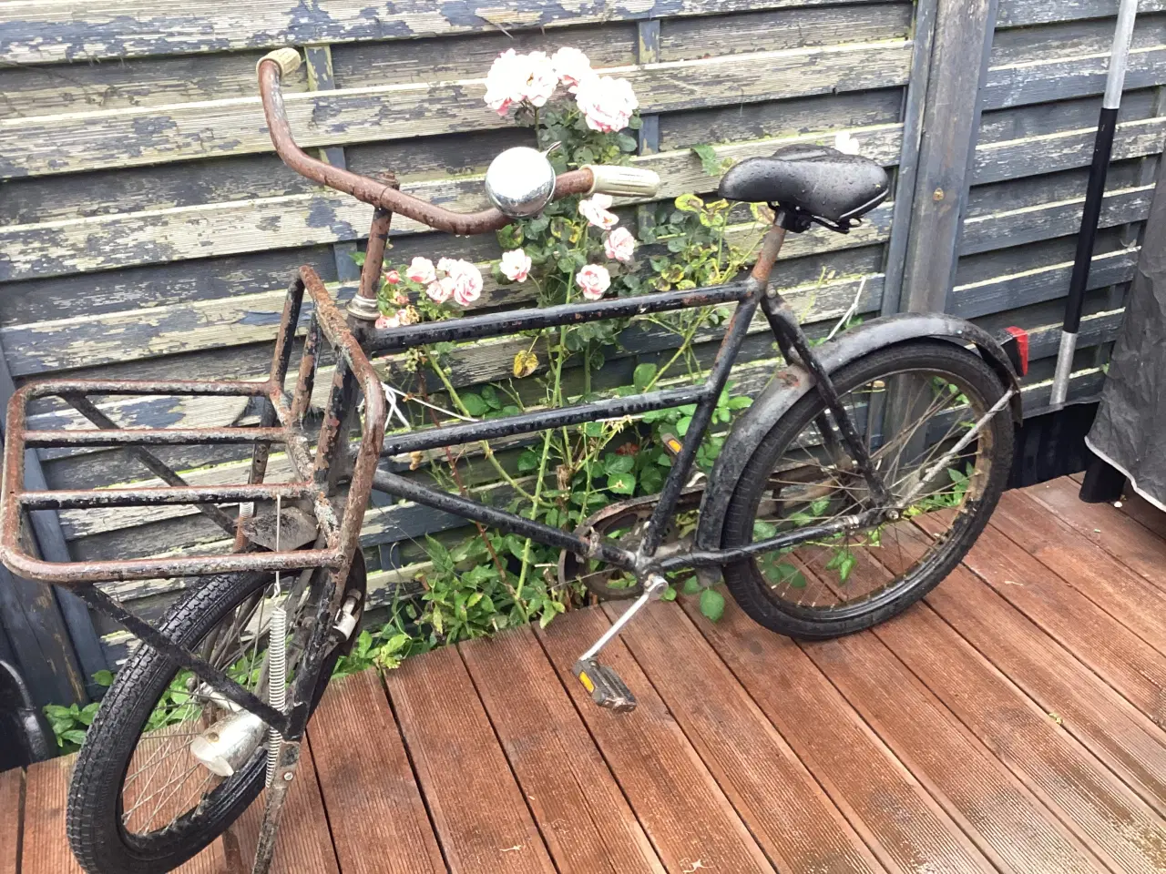 Billede 2 - Budcykel  Short John