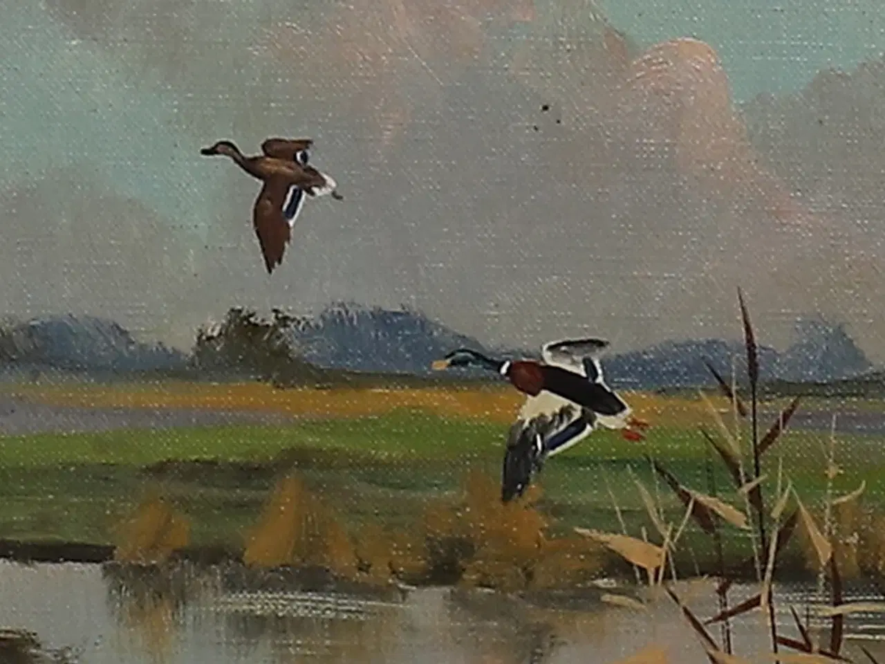 Billede 6 - SVEND JENSEN. olie på lærred, "jagthund", signeret